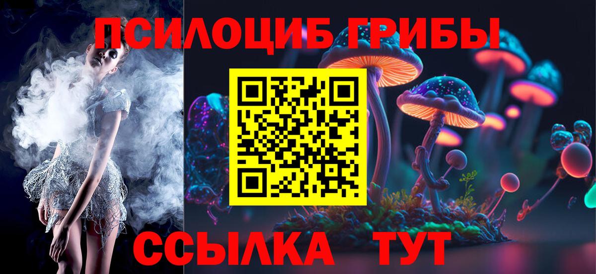 Псилоцибиновые грибы мицелий Ишим